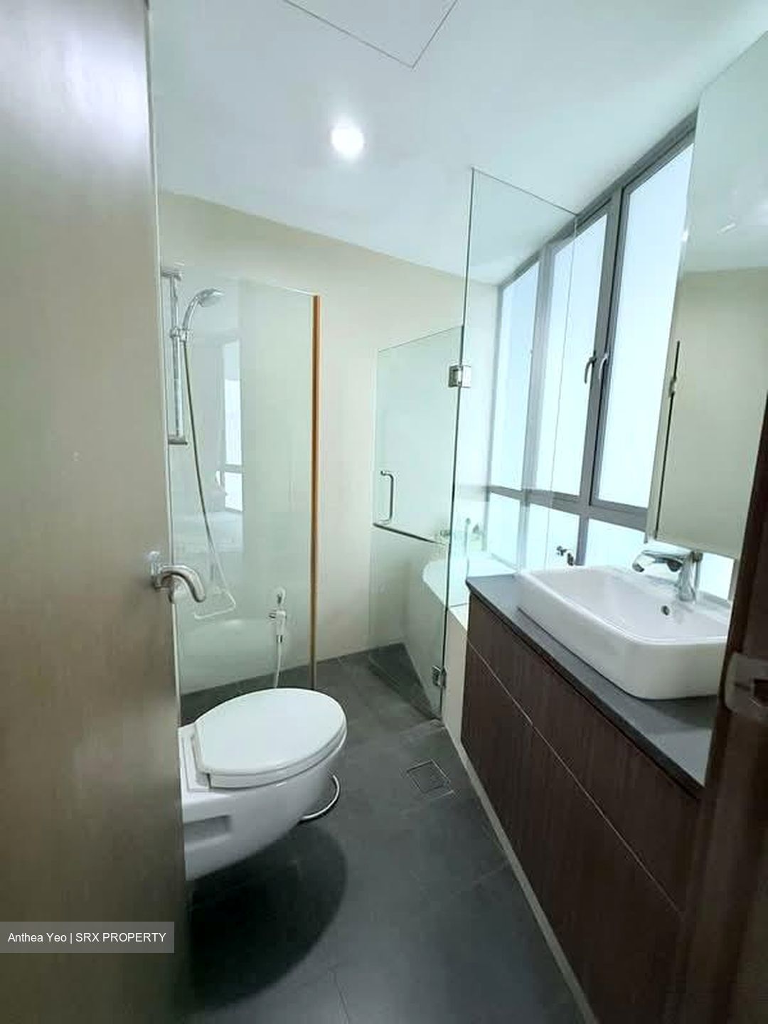 Novelis (D11), Apartment #550071701